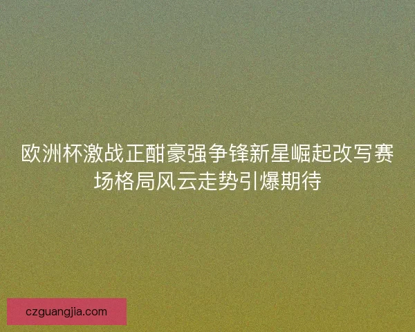 欧洲杯激战正酣豪强争锋新星崛起改写赛场格局风云走势引爆期待