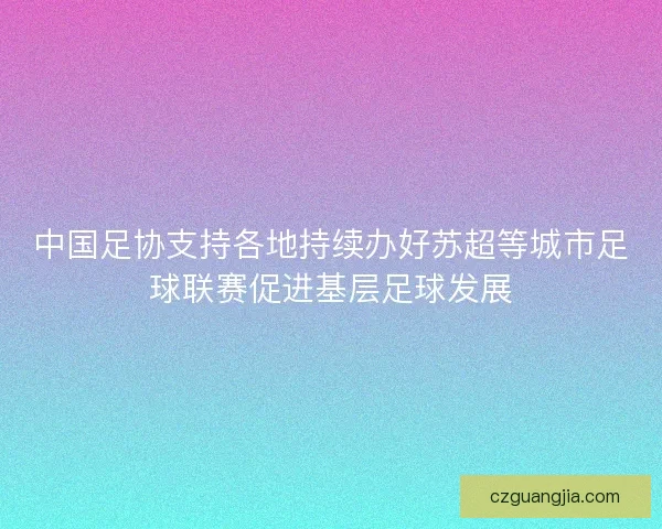 中国足协支持各地持续办好苏超等城市足球联赛促进基层足球发展