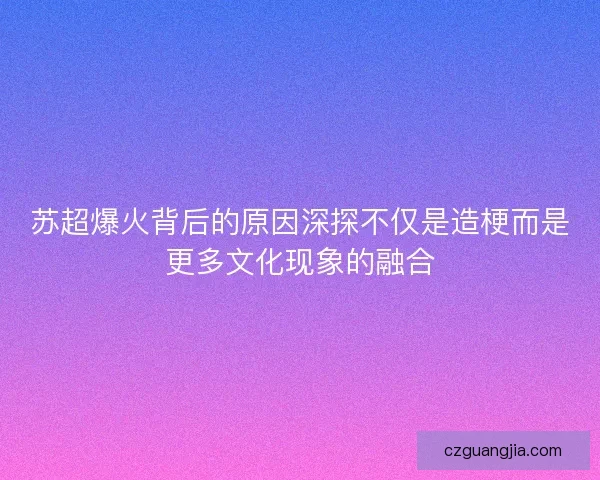 苏超爆火背后的原因深探不仅是造梗而是更多文化现象的融合